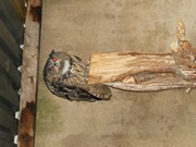 Výlet do Ekocentra MB - Spižírna